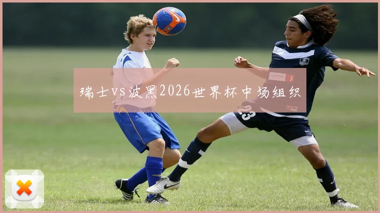 瑞士vs波黑2026世界杯中场组织