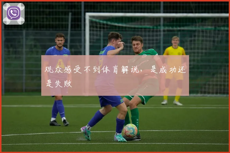 观众感受不到体育解说，是成功还是失败
