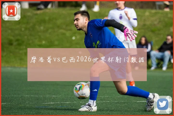 摩洛哥vs巴西2026世界杯射门数据