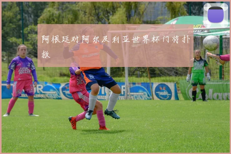 阿根廷对阿尔及利亚世界杯门将扑救
