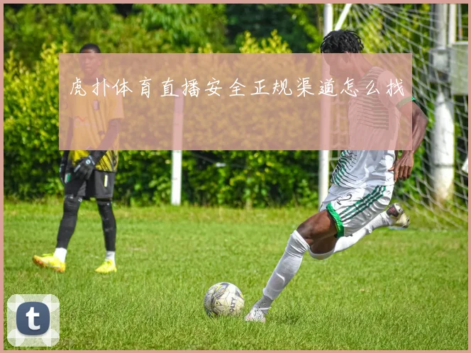 虎扑体育直播安全正规渠道怎么找