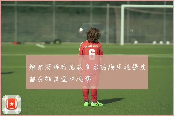 维尔茨面对厄瓜多尔防线压迫强度能否维持盘口观察